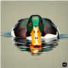 jackpetersen244